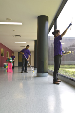 Purple Pear Commercial Cleaning